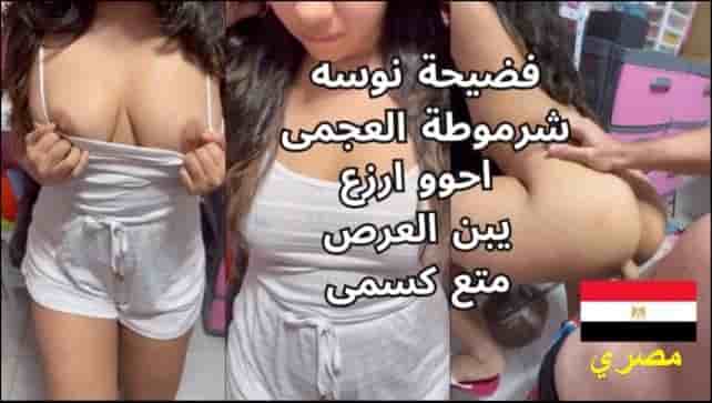 نيك نوسة شرموطة الاسكندرية نيك كسي يا خليجي يا غني