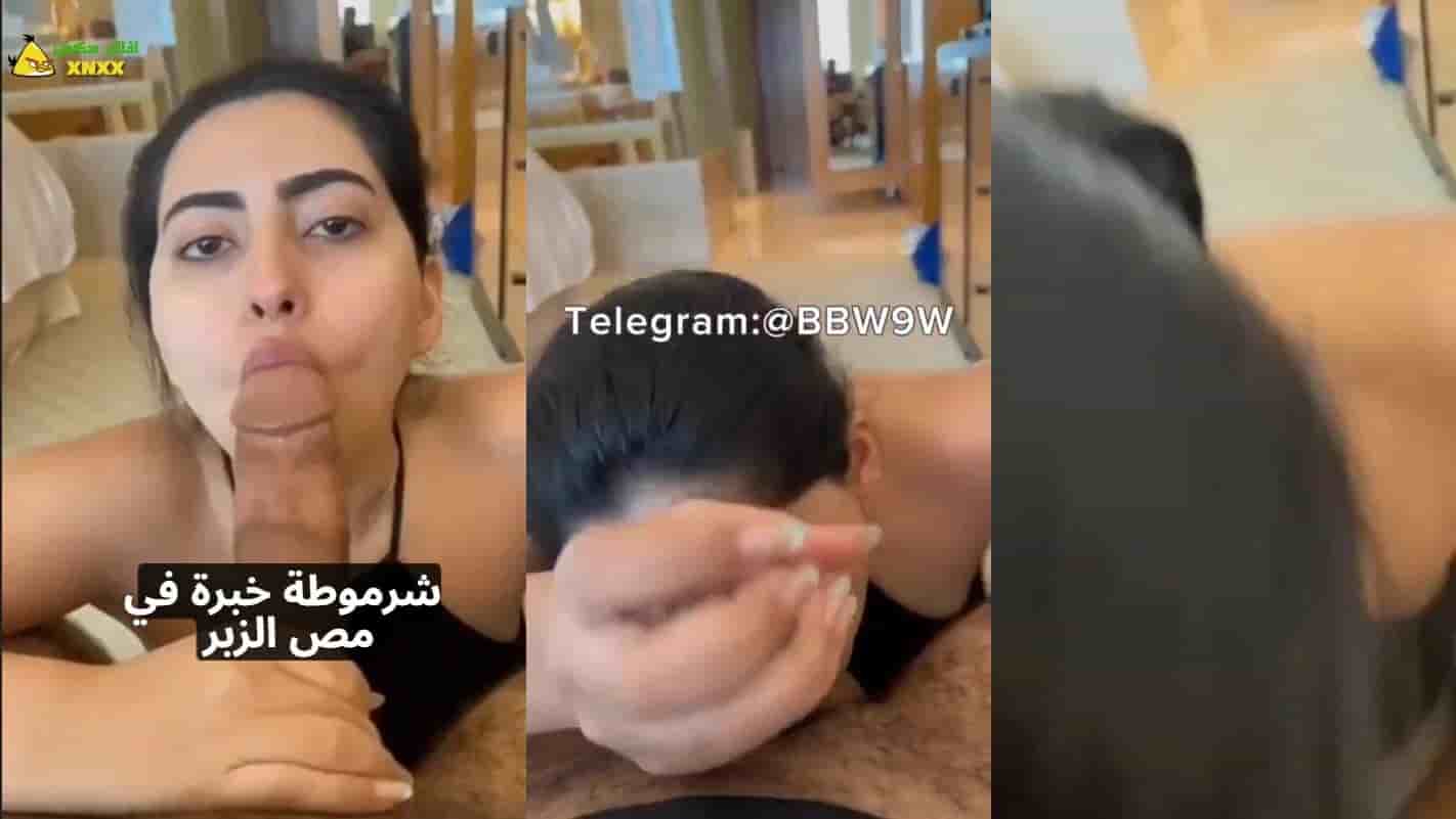 تسريب عراقية خبرة بمص العير من موقع سكس خليجي تمص زب رجل اعمال اماراتي